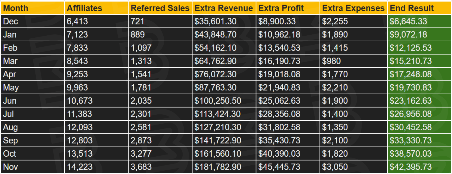 12 Month Affiliate Program Growth